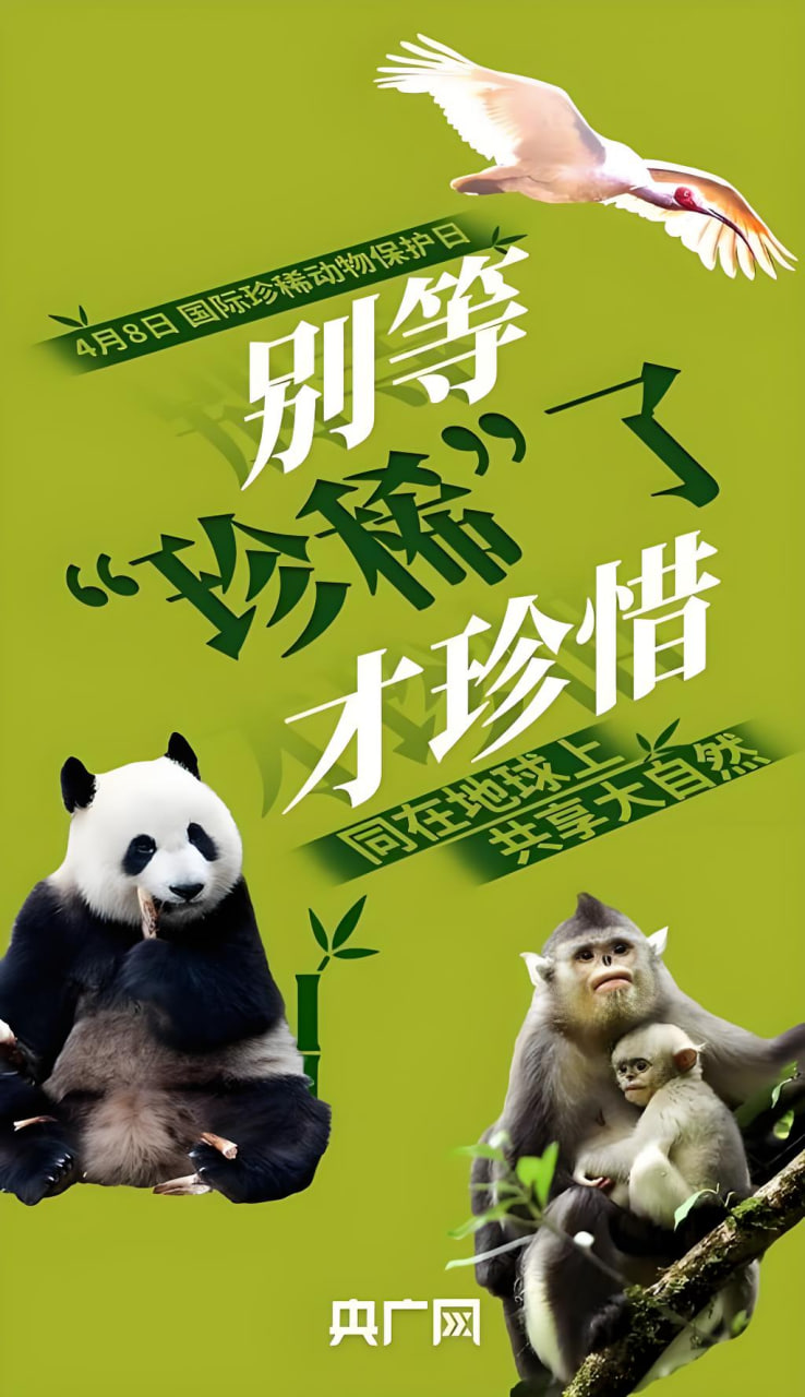 斗罗大陆